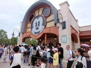 上海迪士尼吃瓜事件,游客体验与管理的冲突瞬间  第2张